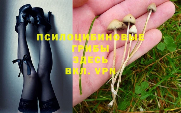 бутират Покачи
